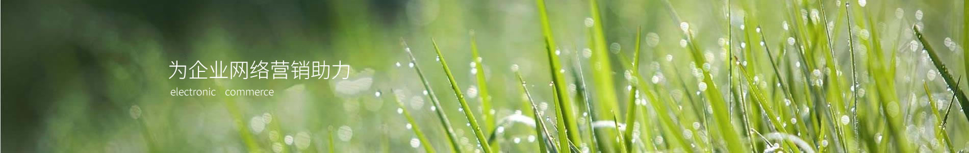 ӱܿƼ޹˾